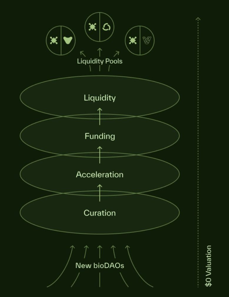 DeSci 淘金｜RIF、URO 飙升背后，Molecule 三大引擎崛起？