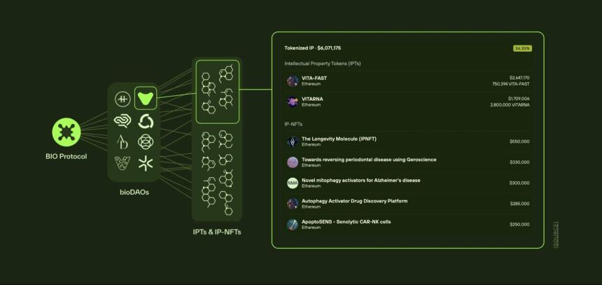 解读 BIO Protocol:Binance Labs 首涉 DeSci 投资,构建有意义的科研资助孵化器