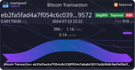 盘点 BTC 的可扩展方案