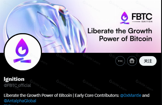 解读 FBTC:全链 BTC 合成资产