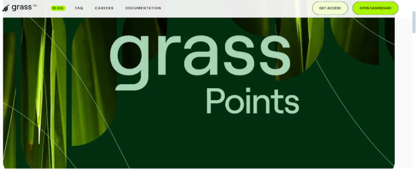 什么是Grass?