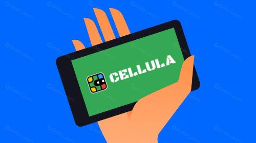 Cellula 项目分析