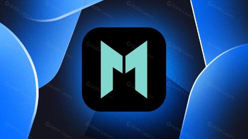 Mango Network: 多VM全链基础设施引领L1新方向