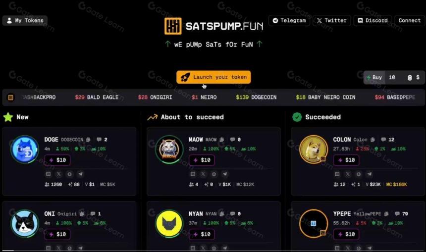 盘点各链 「Pump.fun」 ,去哪儿玩才赚钱 ?