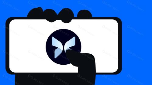 什么是 Morpho Protocol?