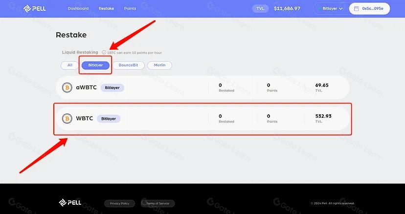 了解Pell Network:提升比特币的安全性和可用性