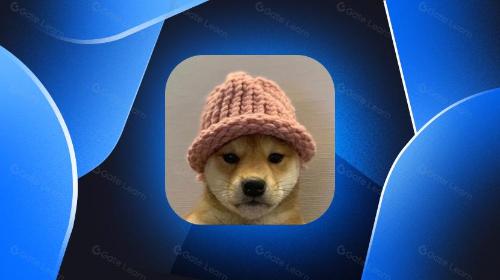 什么是Dogwifhat?一文读懂WIF