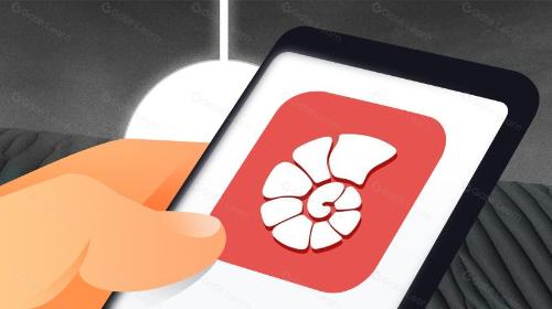 「BNB生态手机」来了?CoralApp:多链生态红利“聚合器”