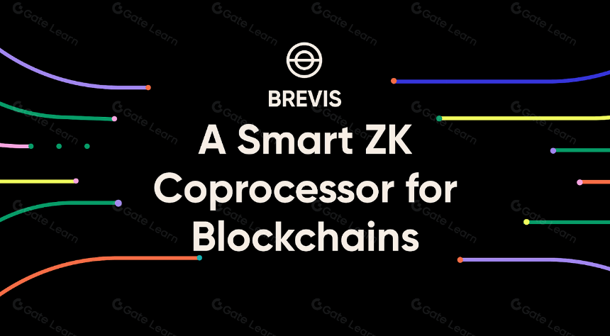 区块链的GPU：全面了解ZK协处理器