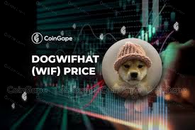什么是Dogwifhat？一文读懂WIF