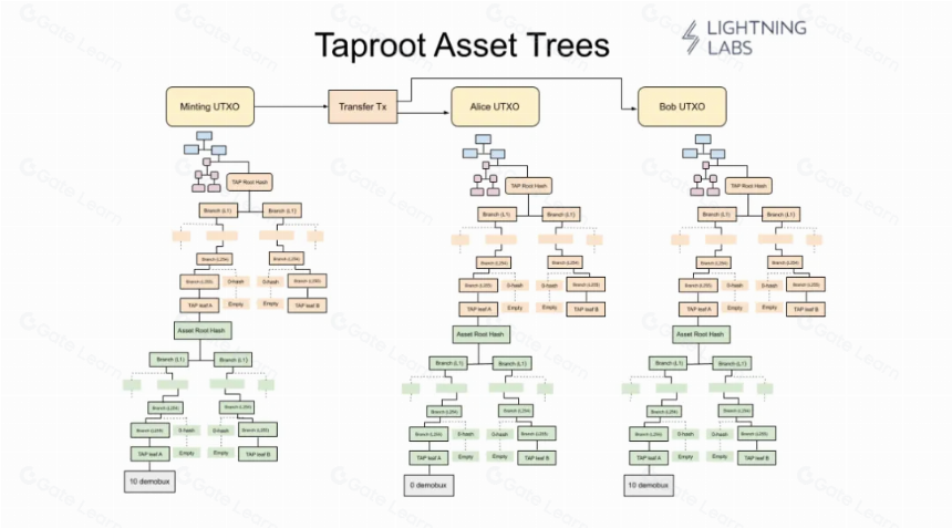 Taproot Assets：稳定币赛道超越万亿市值的下一个增长点