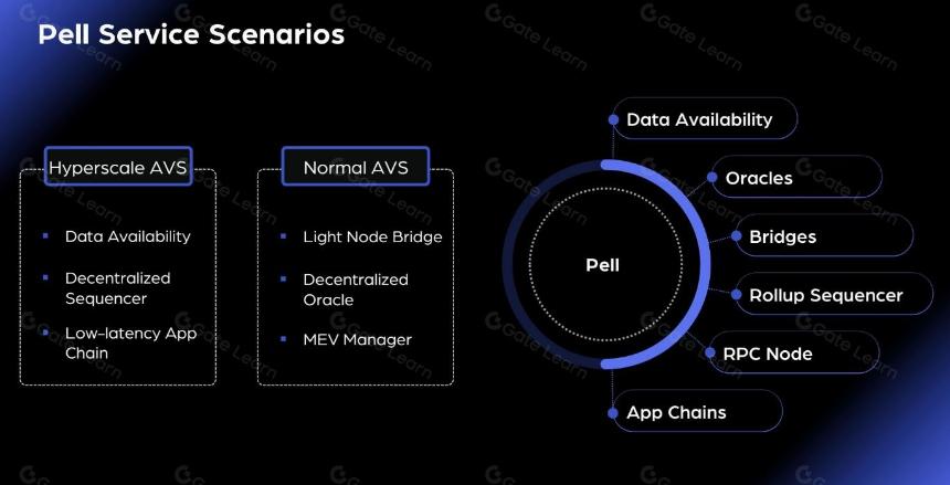 一文读懂 Pell Network:BTC 再质押新星有何特别之处?