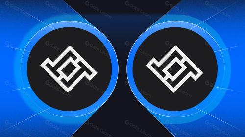 什么是 Lossless（LSS）？