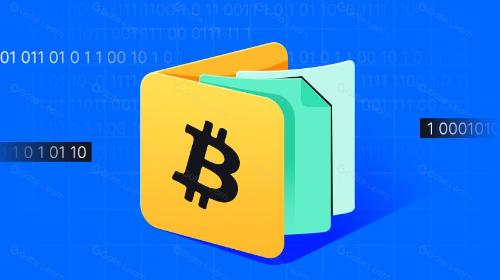 百链竞发下半场，BTC layer2市场该何去何从？