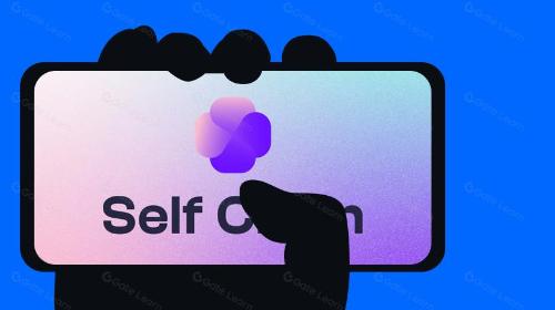 详解 Self Chain：以意图为中心的模块化 Layer 1 区块链