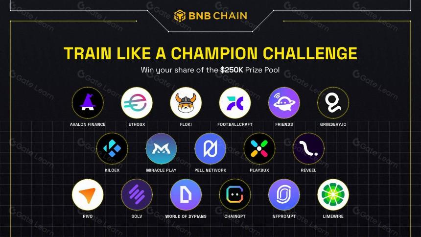 Pell Network:基于比特币再质押构建AVS网络,如何释放BTCFi万亿市场?