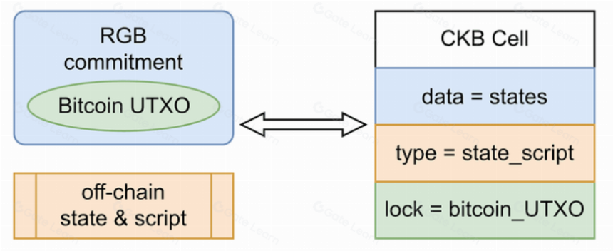 UTXO 绑定:详解 BTC 智能合约方案 Arch Network ,RGB,RGB++