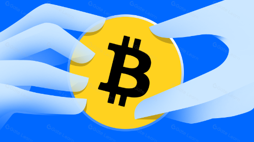BTC LSD,如何帮助更多用户分享 BTC 质押收益?
