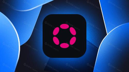 2024 年的 Polkadot 展望