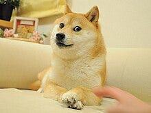 模因币的过去与现在:从狗狗币到现代的模因资产