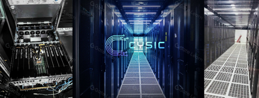 百亿美元赛道,ZK DePIN硬件加速与算力网络龙头Cysic