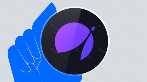什么是APX Finance(APX)?