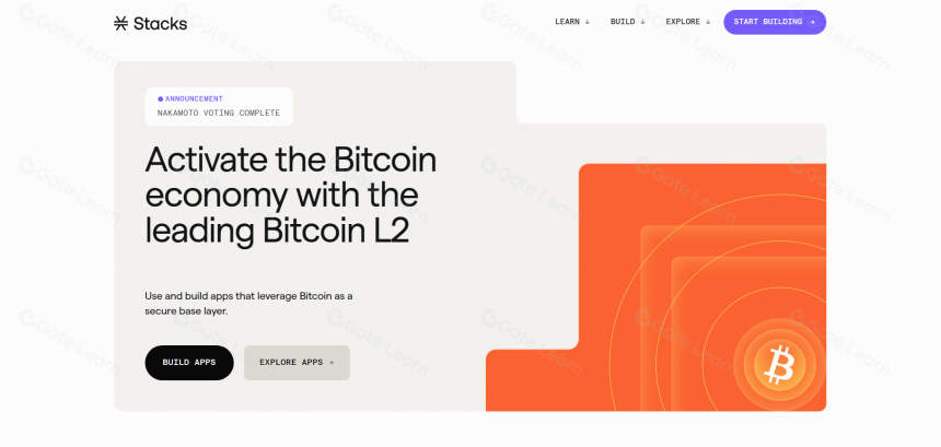 优质比特币 DeFi 项目