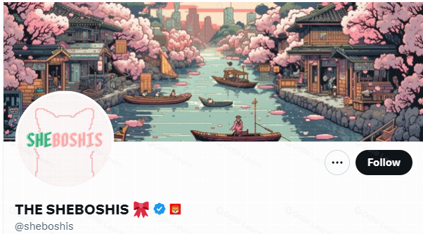 探索半同质代币的复杂格局