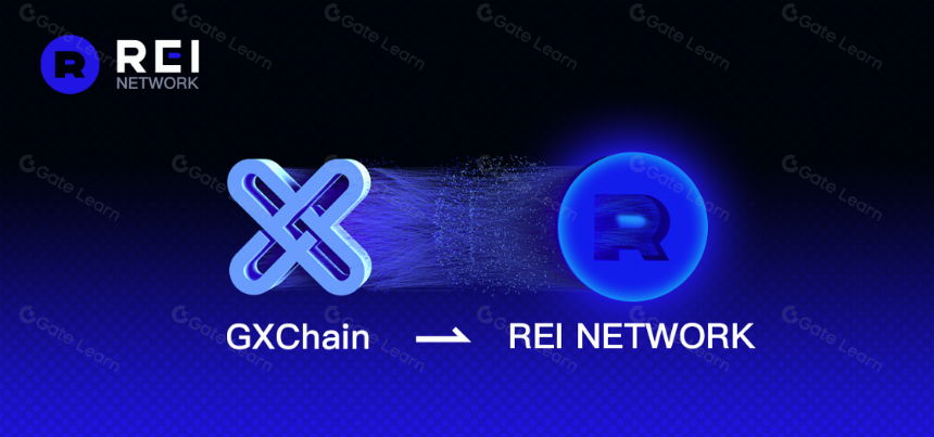 什么是 REI 网络?一文带你了解 REI 币