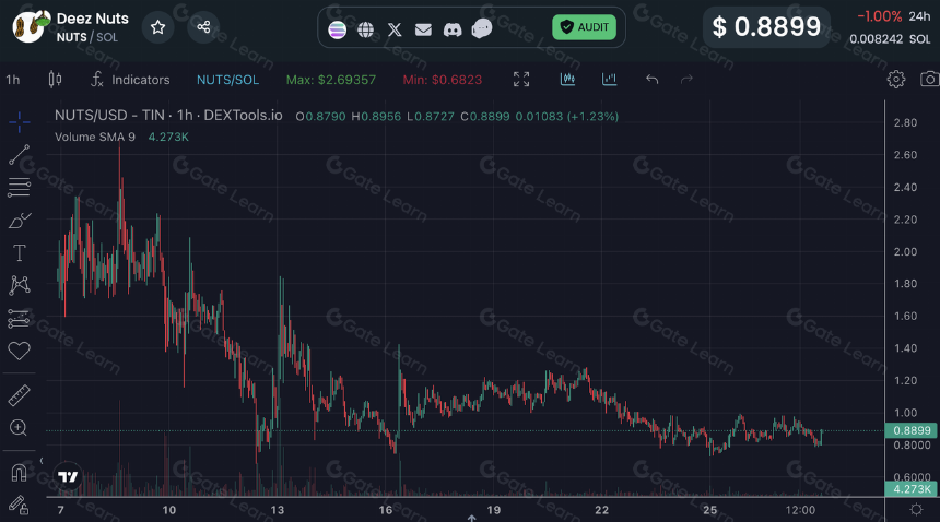 探索半同质代币的复杂格局
