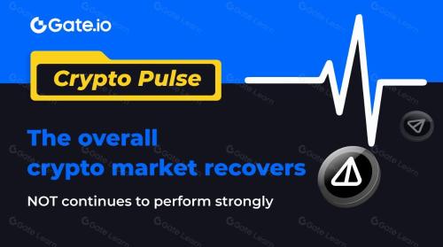 Crypto Pulse-加密市场整体复苏，NOT继续强势表现