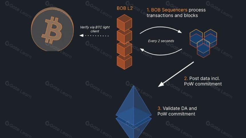 速览混合 L2 BOB:合并挖矿,融合比特币安全性与 EVM 流动性