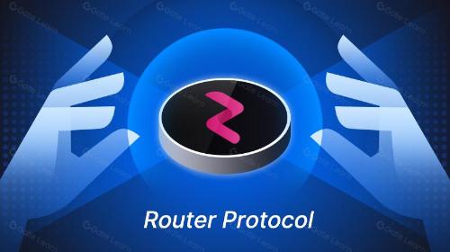  什么是 Router Protocol？