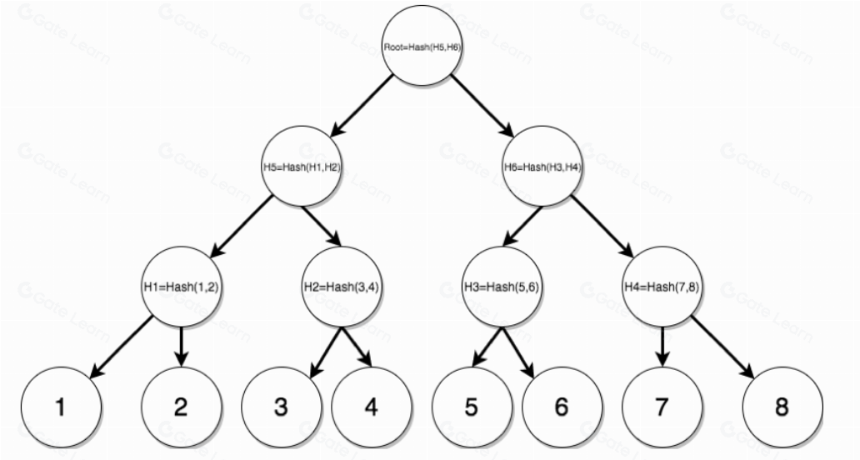 The Verge - 以太坊的高效可验证查询技术:Verkle Trees
