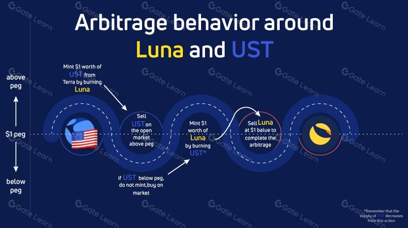 什么是 LUNA?