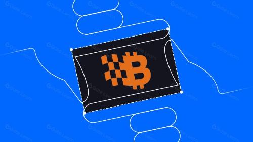Bitlayer 生态项目盘点