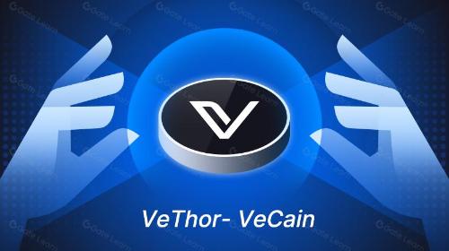 VeChainThor, 多功能企业级 L1 物联网平台