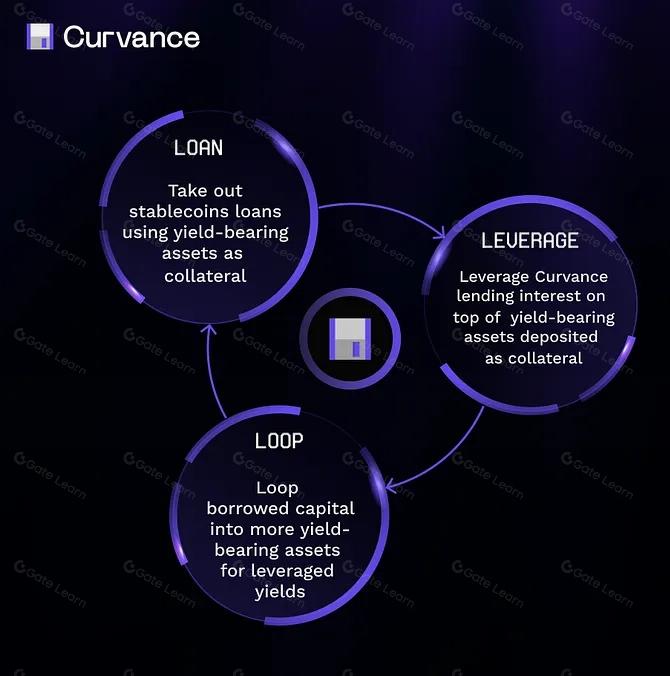 什么是 Curvance(CVE)2025:关于 Curvance 你需要知道的一切
