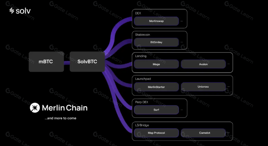 一鱼多吃:Merlin Chain流动性协议速通手册