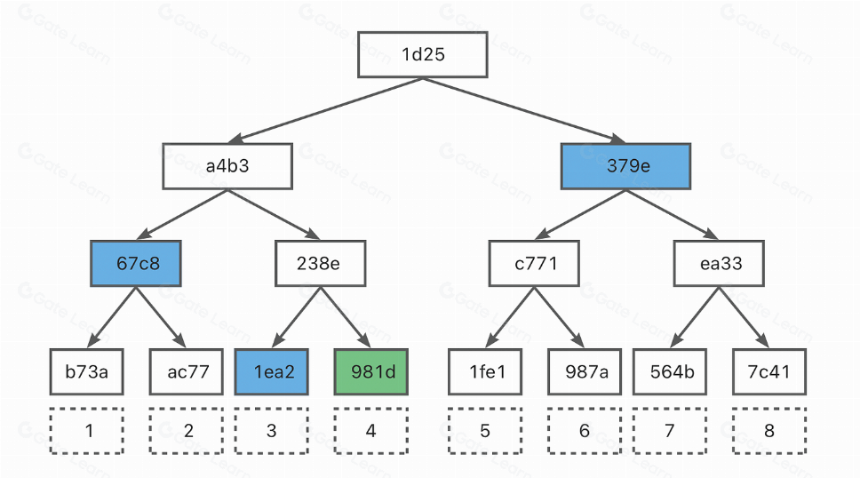 The Verge - 以太坊的高效可验证查询技术:Verkle Trees