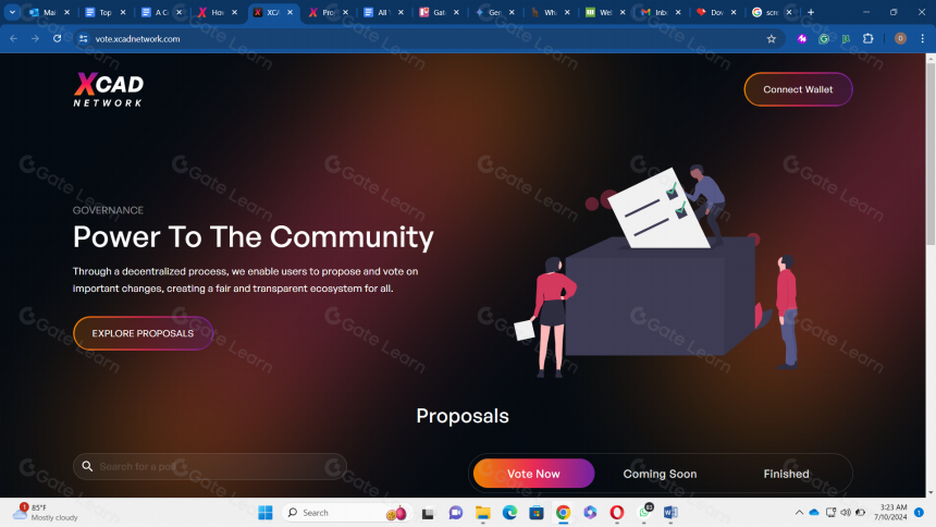 XCAD网络全方位解析