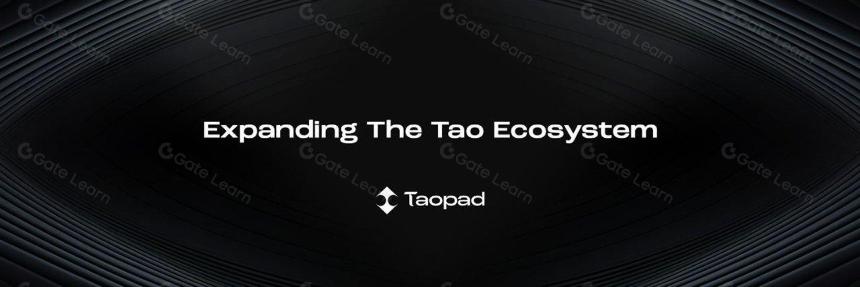 加密世界中的顶级人工智能项目真的有效吗？