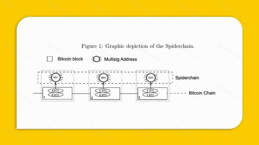 盘点 Mezo、BOB 及 Spiderchain