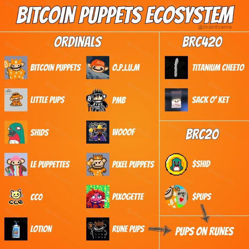 Bitcoin Puppets 指南: 你需要知道的一切