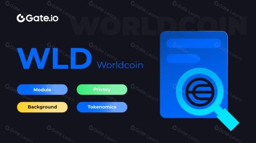 Worldcoin (WLD)详情盘点