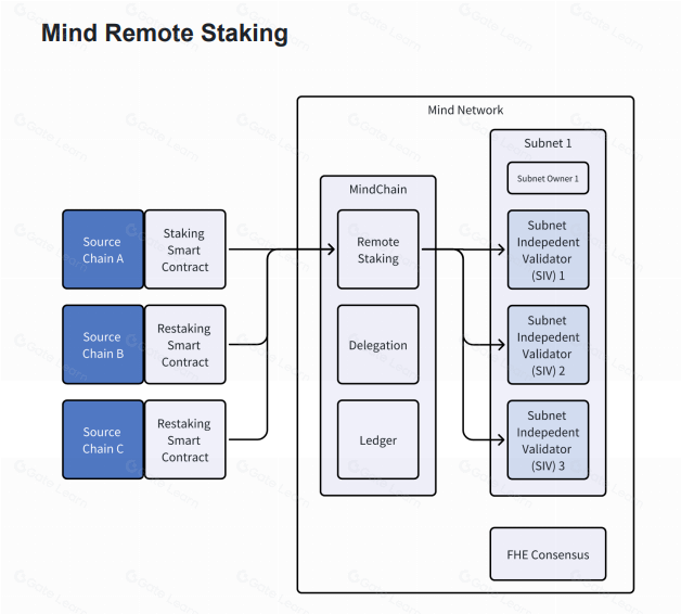 深入 Mind Network