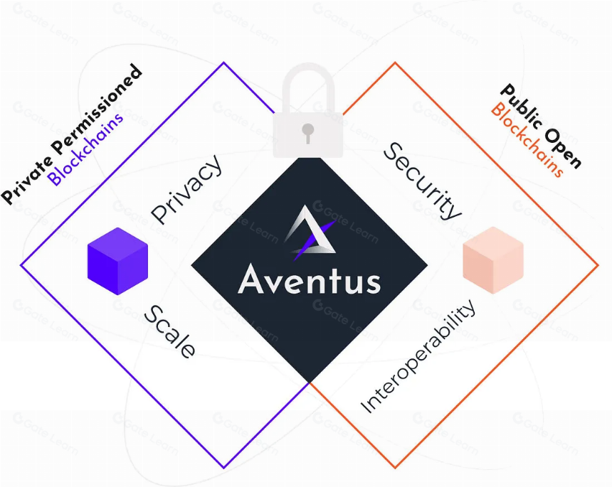 什么是 Aventus 网络?一文带你了解 AVT 代币