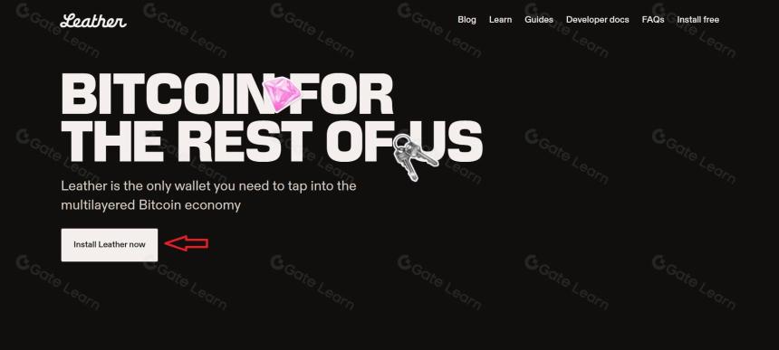 优质比特币 DeFi 项目