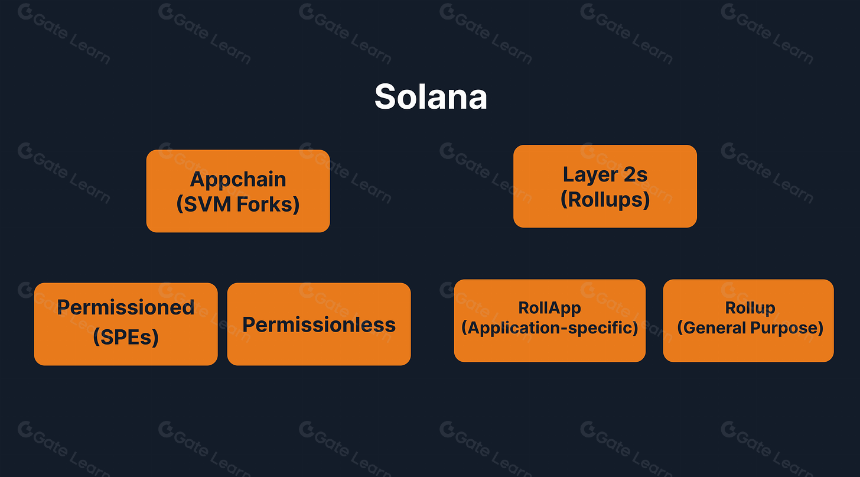 Solana 需要 L2 和 Appchains 吗?