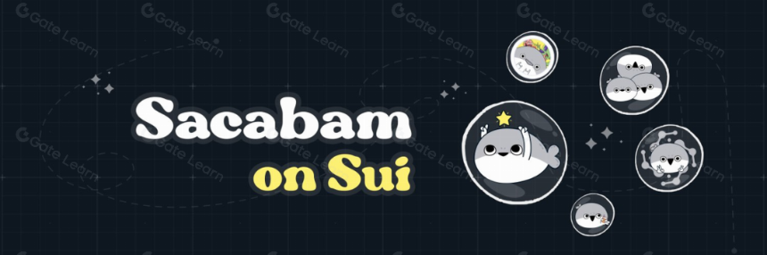 全面揭秘Sui的生态发展和布局
